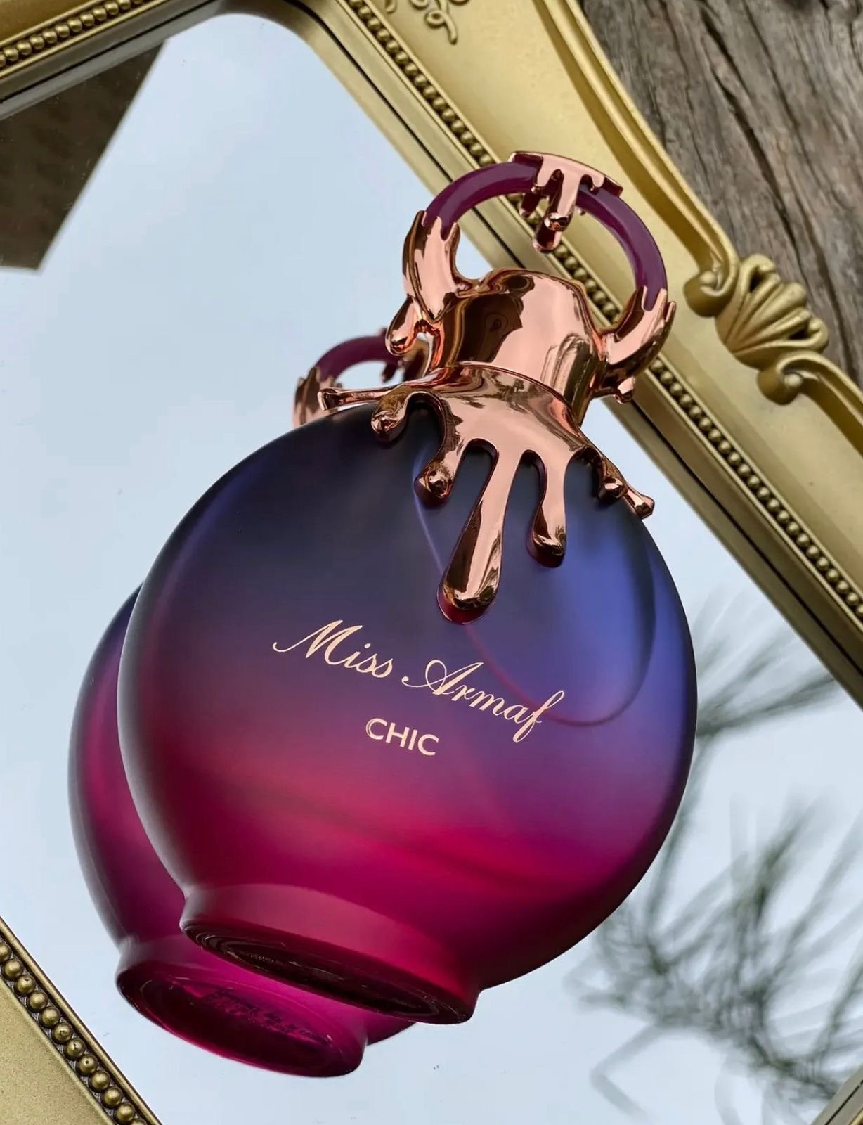 PERFUME DAMA MISS ARM - Image 2