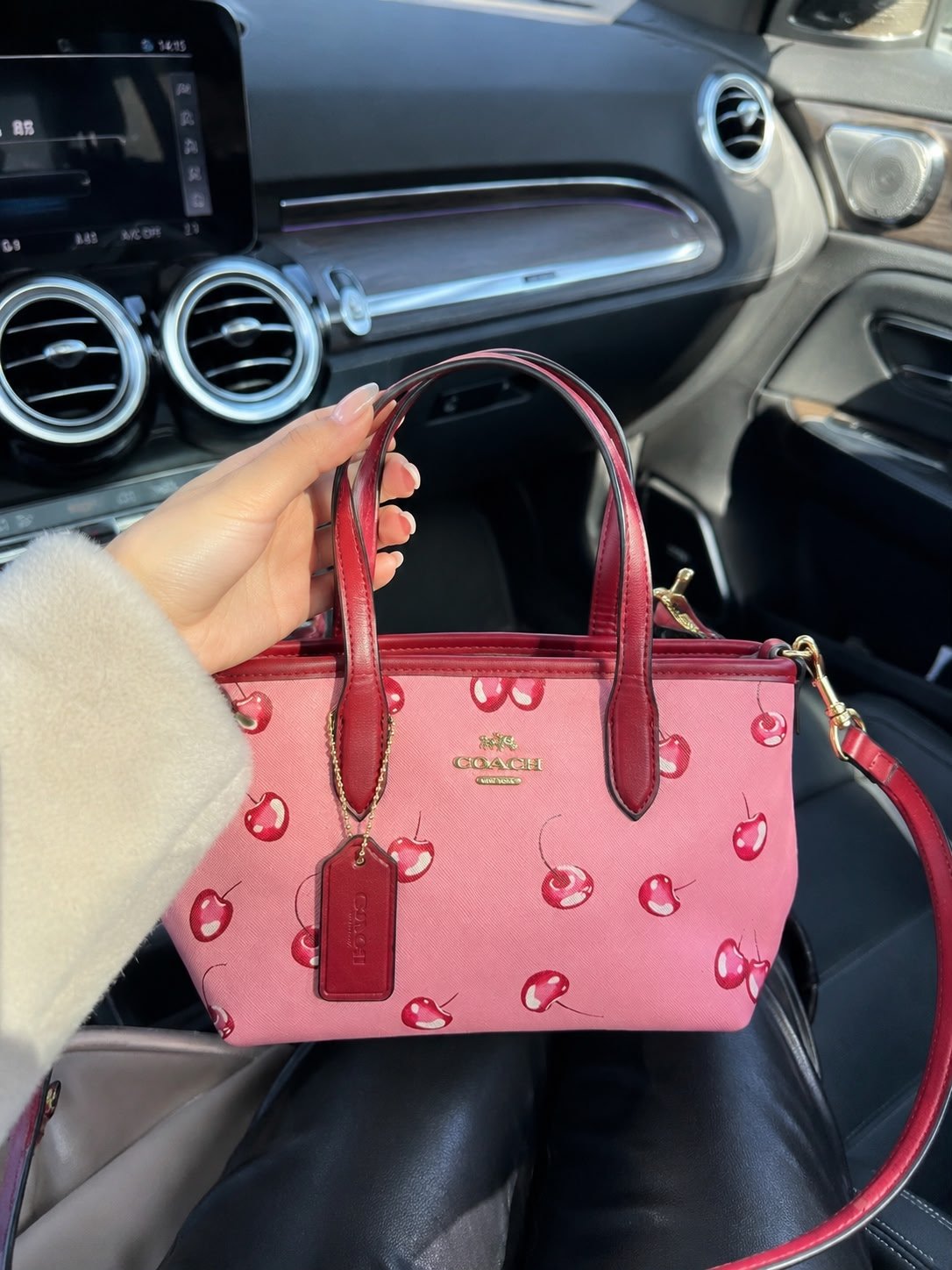 BOLSA/BOLSO COCH/MOD 237 - Image 7