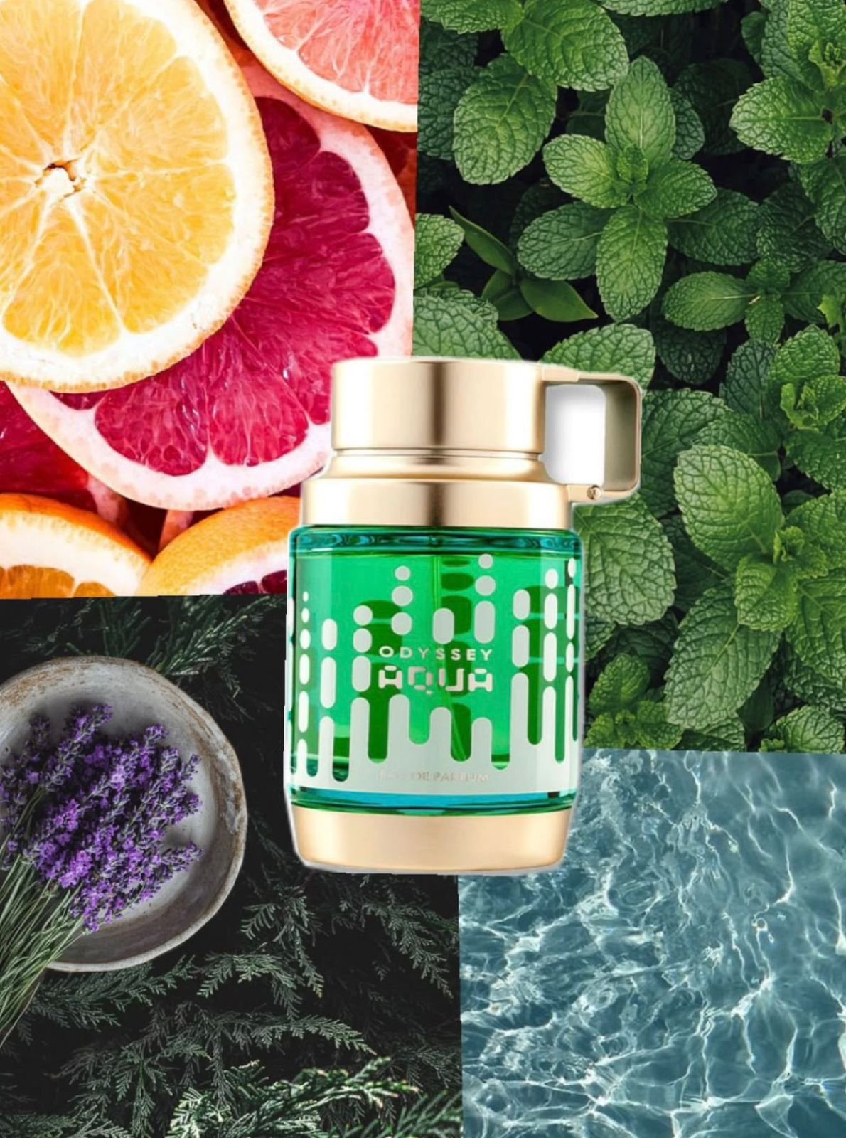 PERFUME ARABE CABALLERO ODY COLLECTION - Image 13
