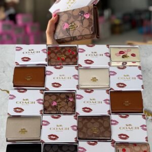 CARTERA/BILLETERA 0270
