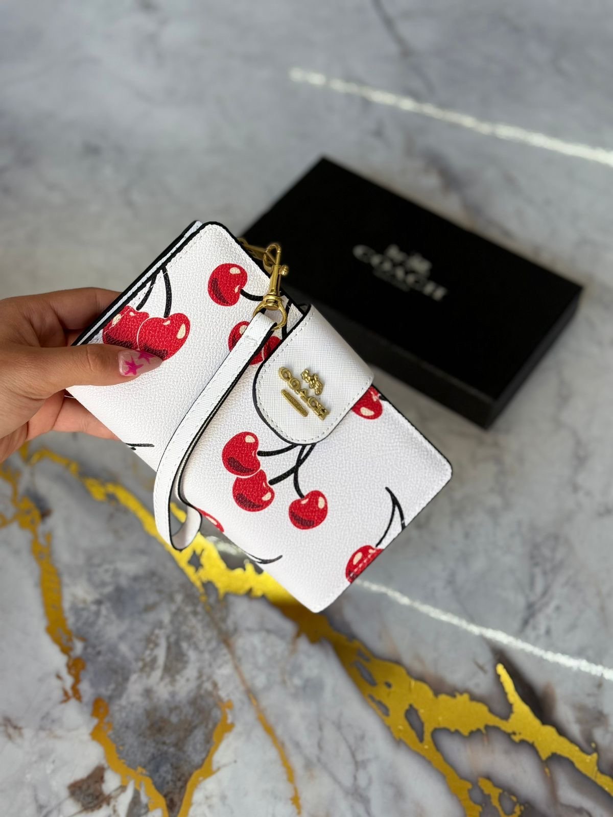 CARTERA CCH BROCHE 5355 - Image 3