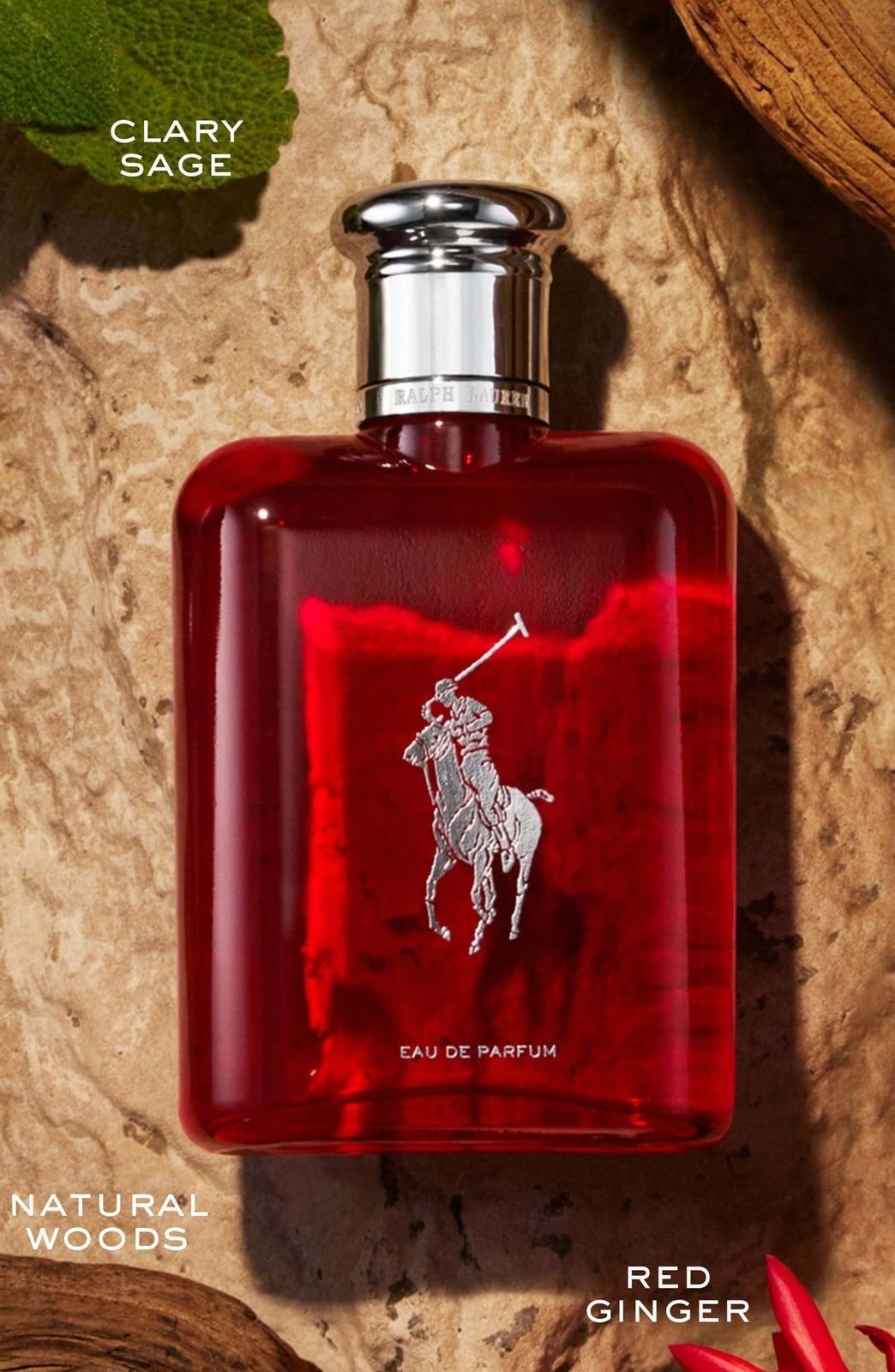 PERFUME CABALLERO POLO RED - Image 2