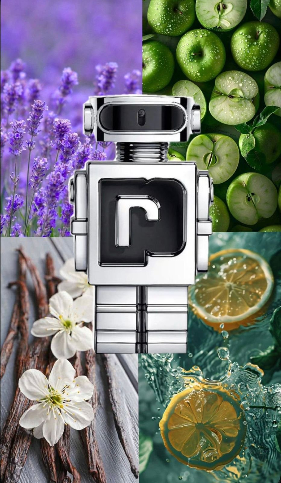 PERFUME CCABALLERO PCO RBBANE PHANTOM - Image 3